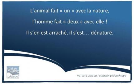 3-Vercors-nature2